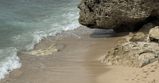 Why we switched to rPET: Sustainable packaging decisions